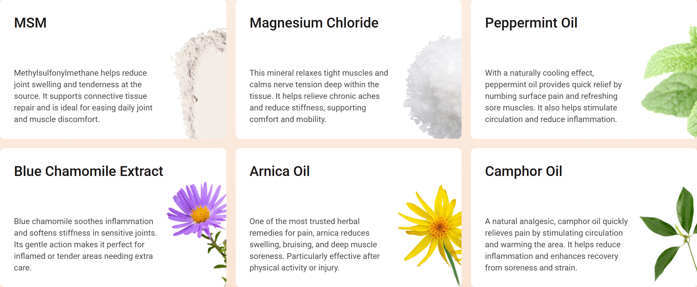 Actives and Ingredients